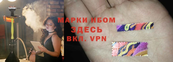 хмурый Алексин