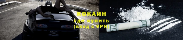хмурый Алексин