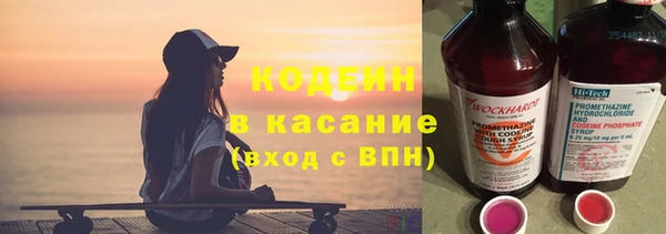 хмурый Алексин