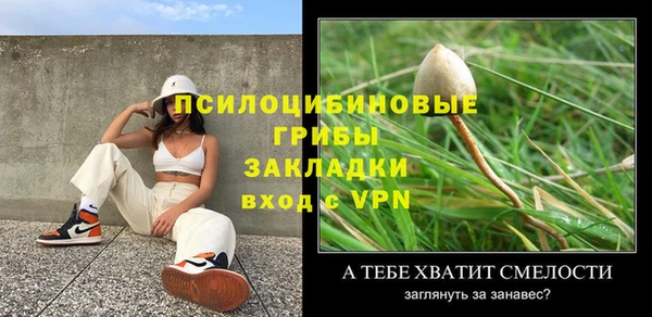 хмурый Алексин