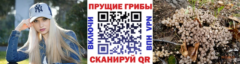 Псилоцибиновые грибы мухоморы где можно купить наркотик Борзя