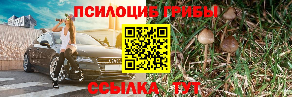 Галлюциногенные грибы GOLDEN TEACHER Борзя